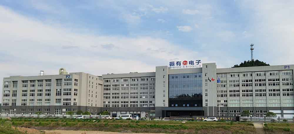 浙江振有電子股份有限公司定製一台大型成人抖音短视频